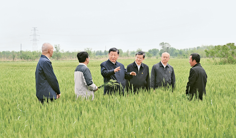 2023年5月11日至12日，中共中央總書記、國家主席、中央軍委主席習近平在河北考察，并主持召開深入推進京津冀協同發展座談會。這是11日上午，習近平在滄州市黃驊市舊城鎮仙莊片區旱堿地麥田考察時，同種植戶、農技專家親切交流。 新華社記者 李學仁/攝